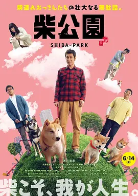 图片区小说区 校园 都市在线
