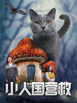 在线观看网址入口2020国产