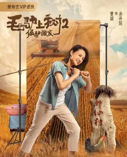 麻豆va一区二区三区久久浪