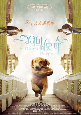 国产h肉在线视频免费观看