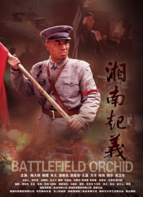 91在线精品视频