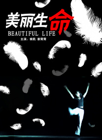 葵司中文第一次大战黑人
