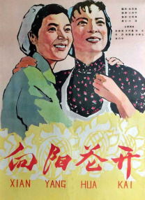 女人私密紧致手术视频